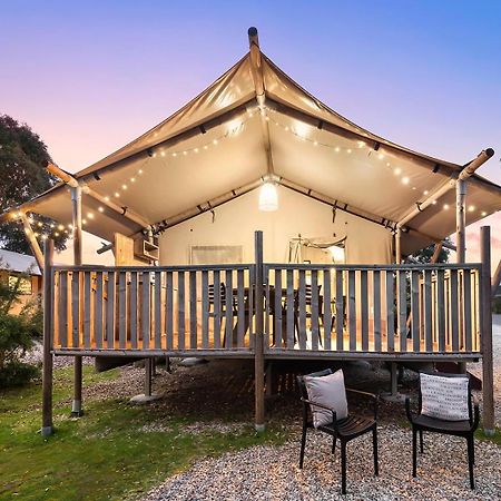 Scamander Sanctuary Holiday Park المظهر الخارجي الصورة