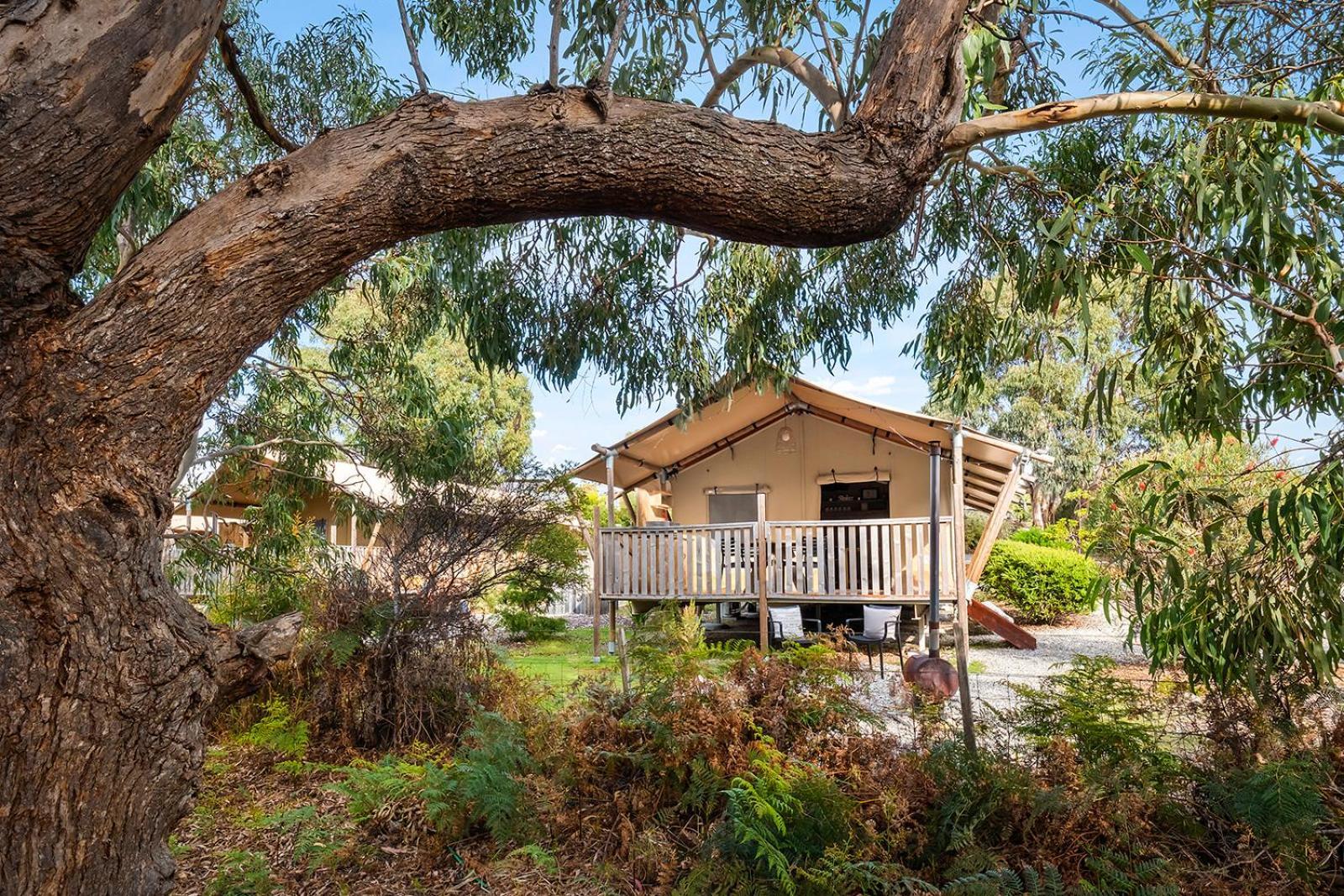 Scamander Sanctuary Holiday Park المظهر الخارجي الصورة